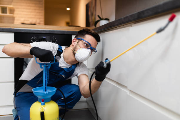 Best Exterminator Services  in El Dorado Springs, MO