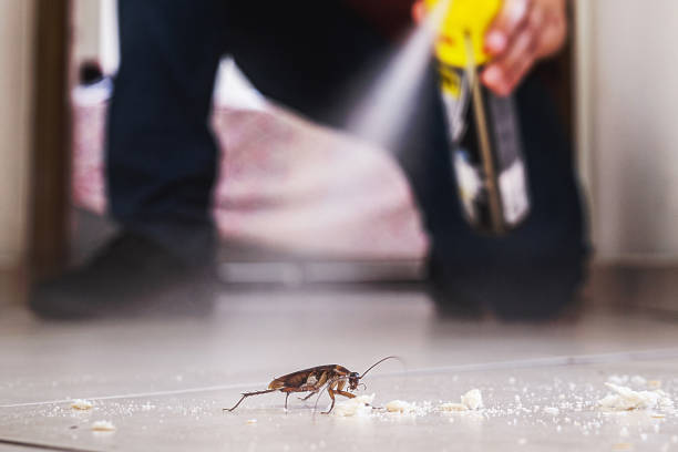 Best Residential Pest Control  in El Dorado Springs, MO