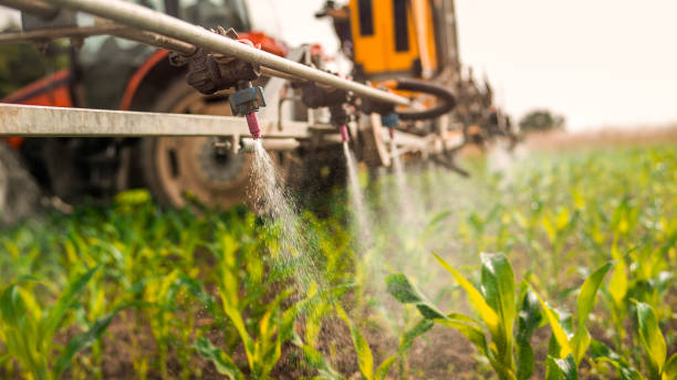 Best Pest Removal Services  in El Dorado Springs, MO